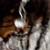 :iconsarv83: