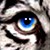 :iconsarvale:
