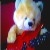 :iconsaryu38: