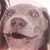:iconsasha0107: