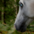 :iconsasha8702: