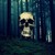 :iconsashakislo: