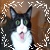 :iconsashatenten: