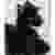 :iconSasho-Windfeather:
