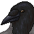 :iconsasiadragon: