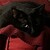 :iconsasmyra-craulnober: