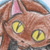 :iconSasol: