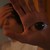 :iconsassseabass: