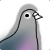 :iconsassy-pigeon:
