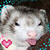 :iconsassyferret: