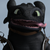 Sassymittens :iconsassymittens: