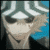 :iconsasuke94fan: