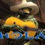:iconsasukes-h0e:
