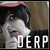 :iconsasunaru-is-life:
