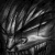:iconsatan-imp: