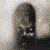 :iconSatap-Grodd: