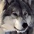:iconsatchen: