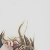 :iconsatelliteflux: