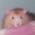 :iconsatin-in-a-coffin: