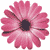 :iconsatine1899: