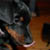 :iconsatisfiedv: