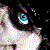 :iconsatoshiando: