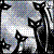 :iconsaturnfly: