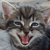 :iconsaturnineyes: