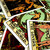 :iconsaturnshadow: