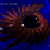 :iconsatyri: