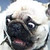 :iconsaucegoeswellwithit: