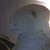 :iconsauegutt: