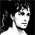 :iconsauthorn: