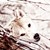 :iconsauyrifox: