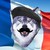 :iconsavage-bastard: