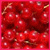 :iconsavage-messiah88: