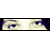 :iconsavagelemone: