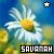 :iconsavanah-coolkid: