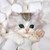 :iconsavannah019: