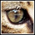 :iconsavariin: