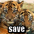 :iconsave-the-tigers: