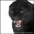 :iconsaveatiger298:
