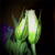 :iconSaved-from-Myself:
