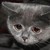 :iconsaveliy36:
