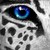:iconsavetheendangered907: