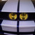 :iconsavfalcon21: