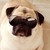 :iconsavinggrace14: