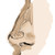 :iconsavortheimpurity:
