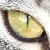 :iconsawluck: