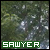 :iconsawyer4211: